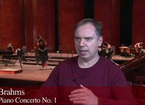 brahms snapshot