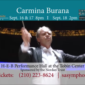 carmina-snapshot